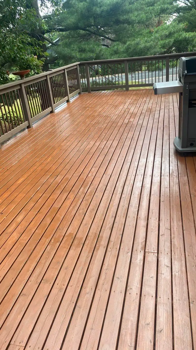 Saint Amant Backyard Deck Staining & Sealing