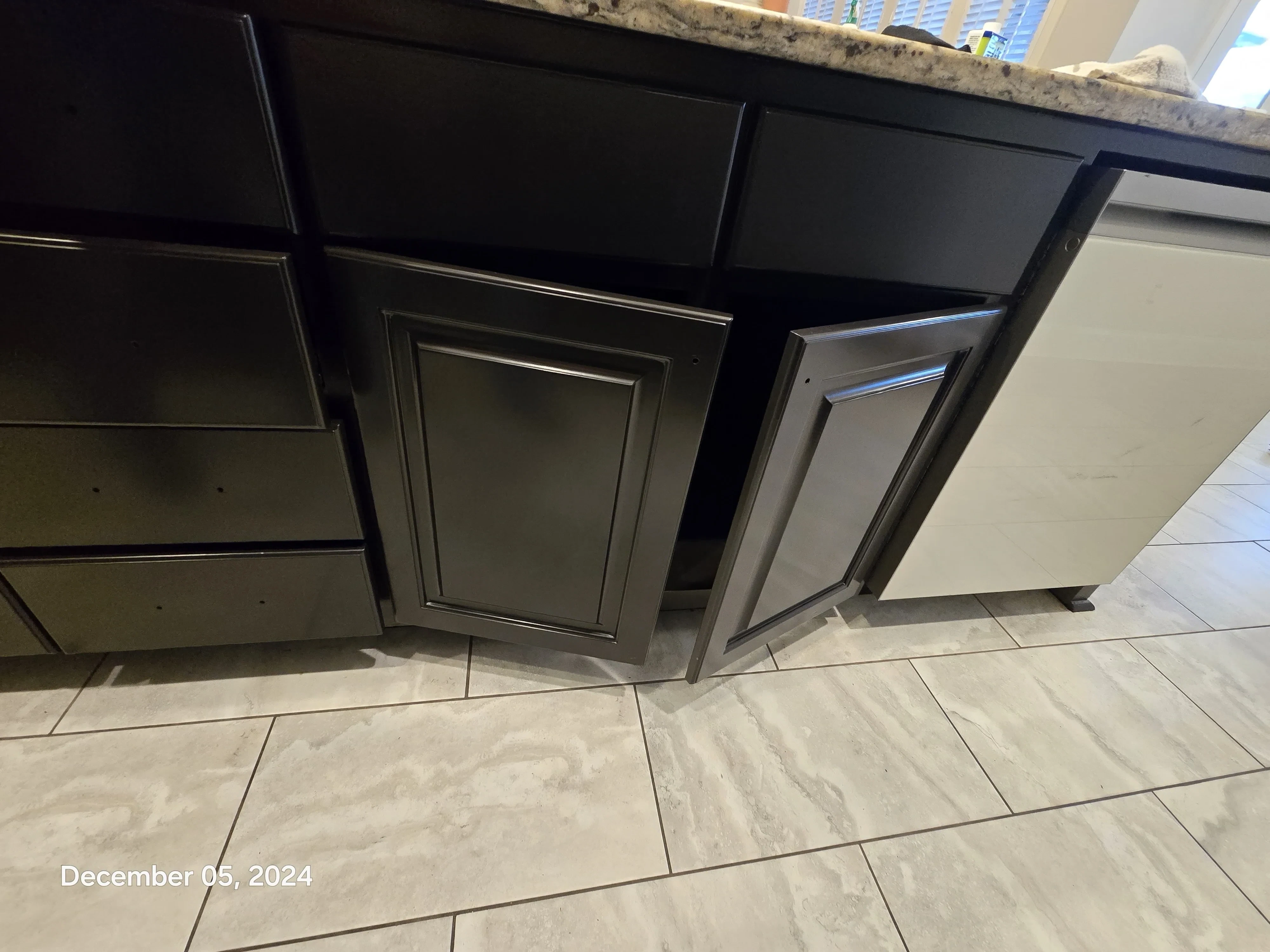CABINET PAINTING Project