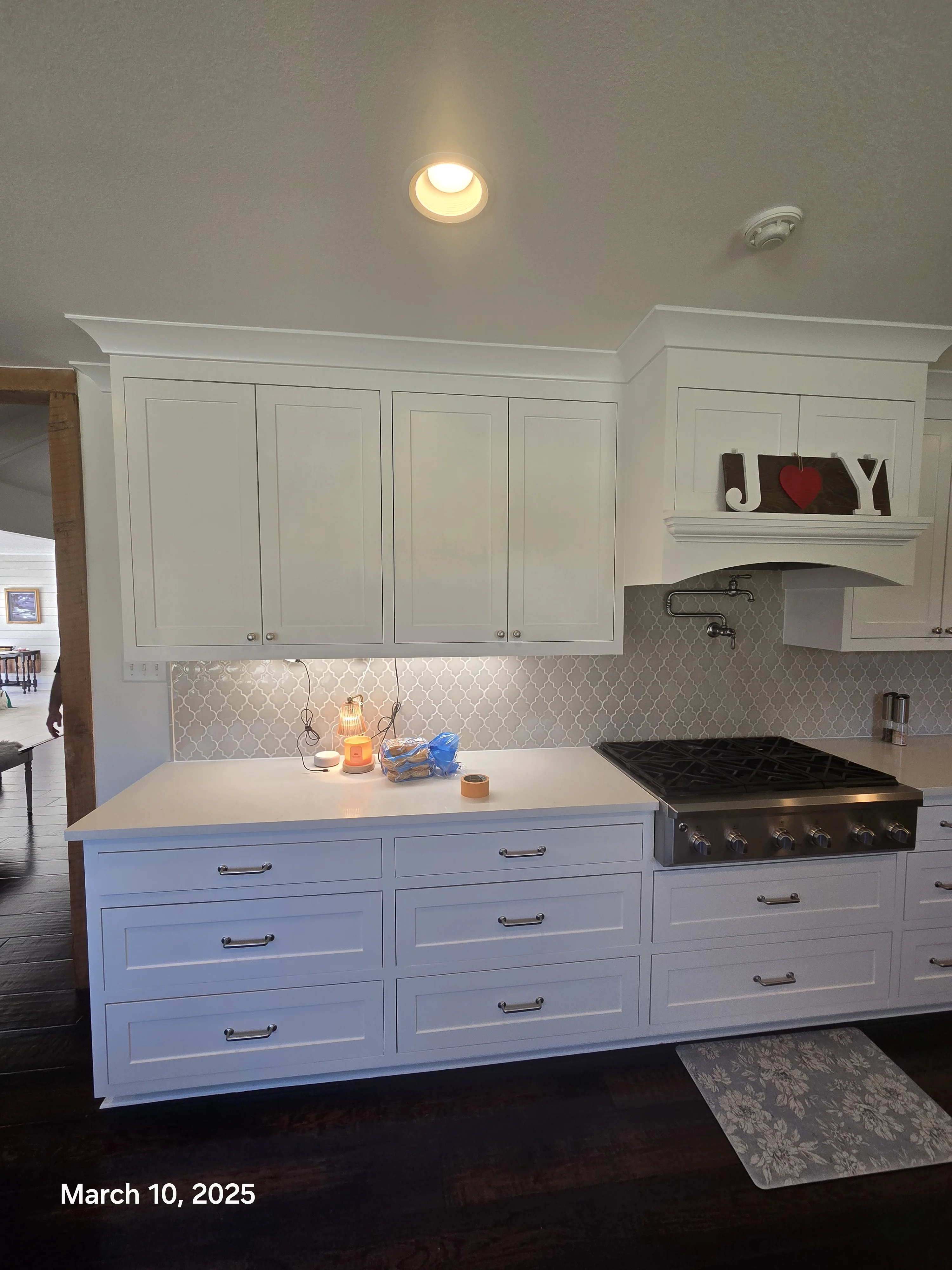 CABINET PAINTING Project