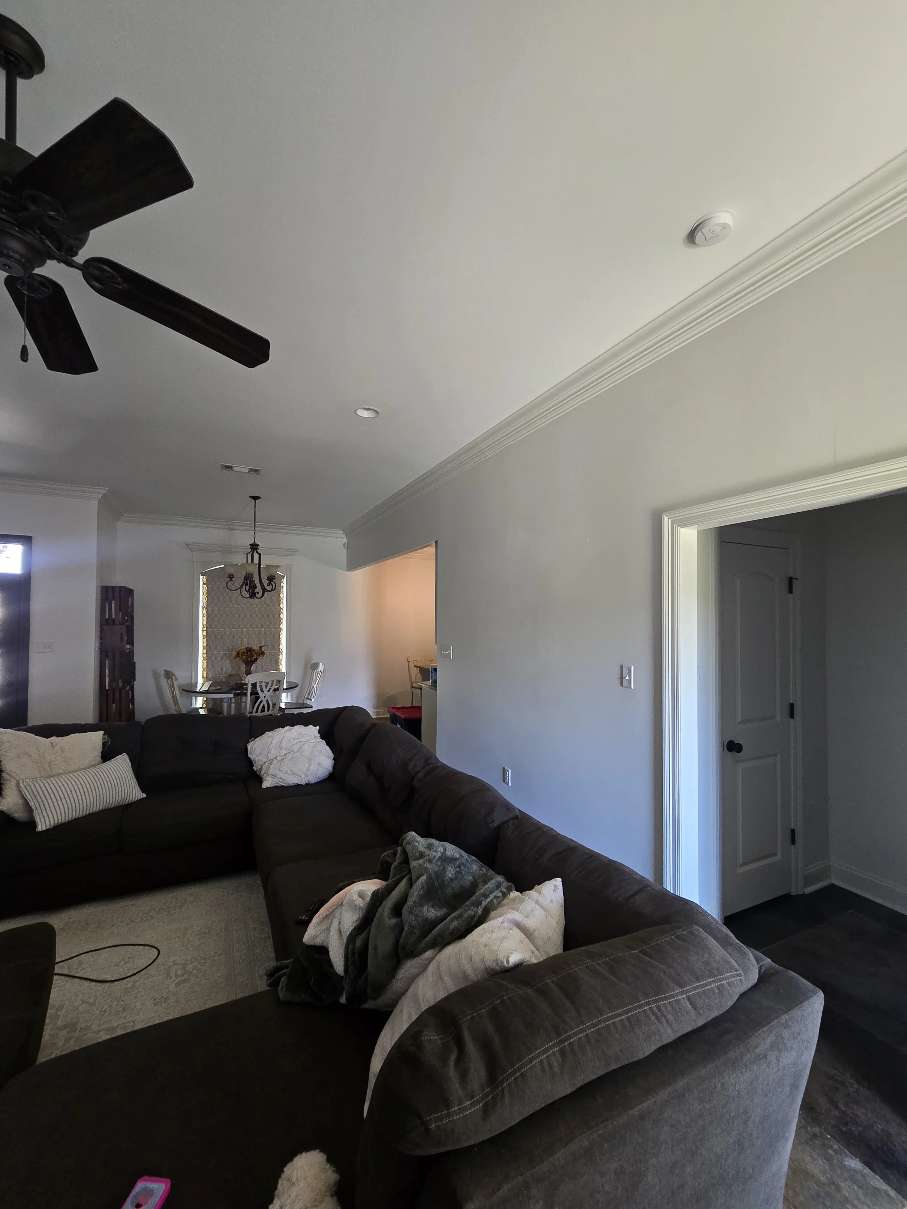 INTERIOR PAINTING Project